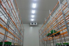 TaniHub Cikarang
