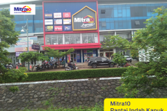 mitra10_pik